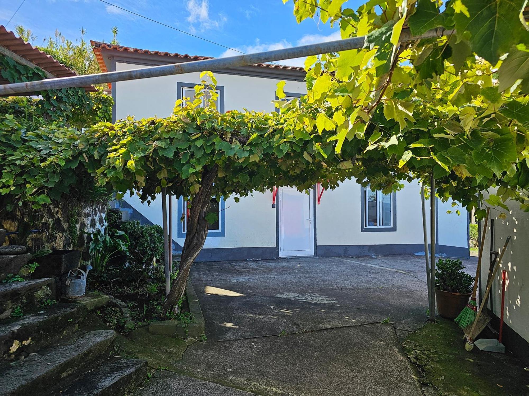 Casa Anjos Holiday Cottages Cedros Buitenkant foto