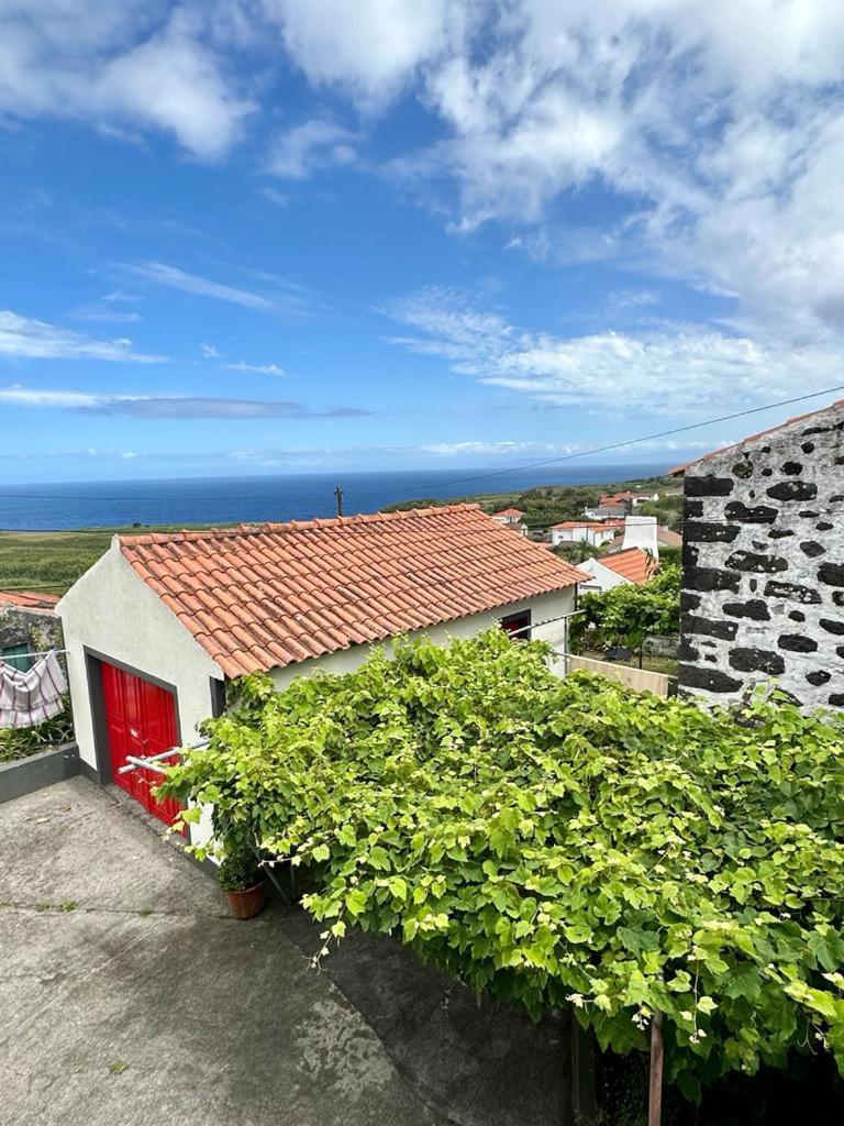 Casa Anjos Holiday Cottages Cedros Buitenkant foto