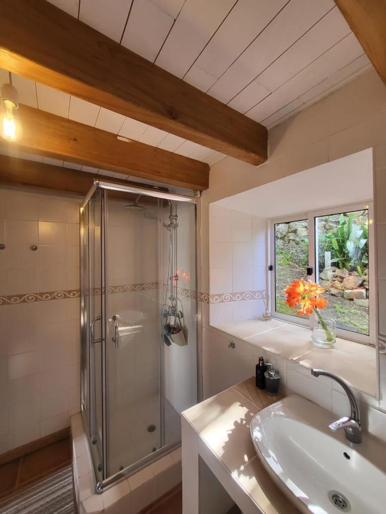 Casa Anjos Holiday Cottages Cedros Buitenkant foto