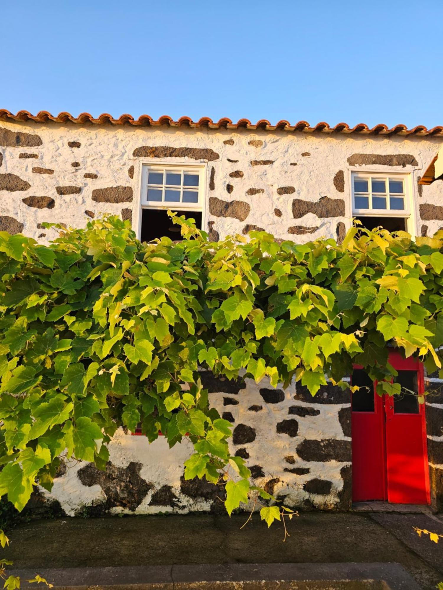 Casa Anjos Holiday Cottages Cedros Buitenkant foto
