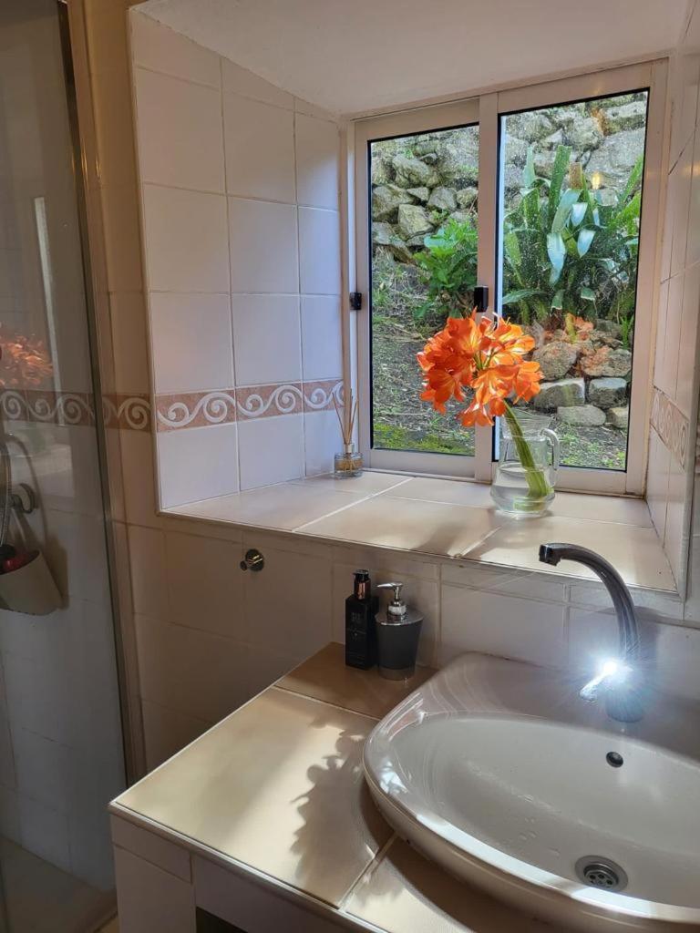 Casa Anjos Holiday Cottages Cedros Buitenkant foto