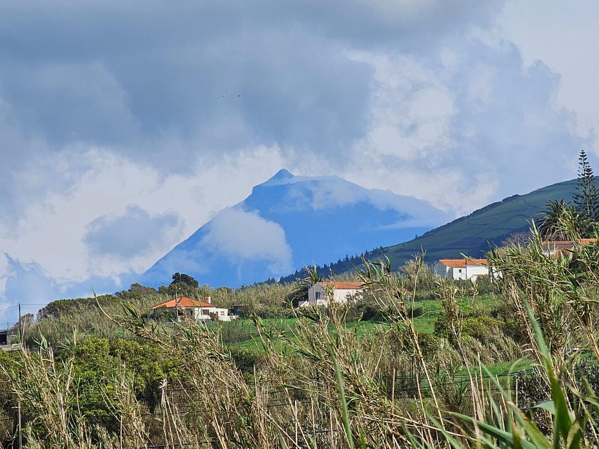 Casa Anjos Holiday Cottages Cedros Buitenkant foto